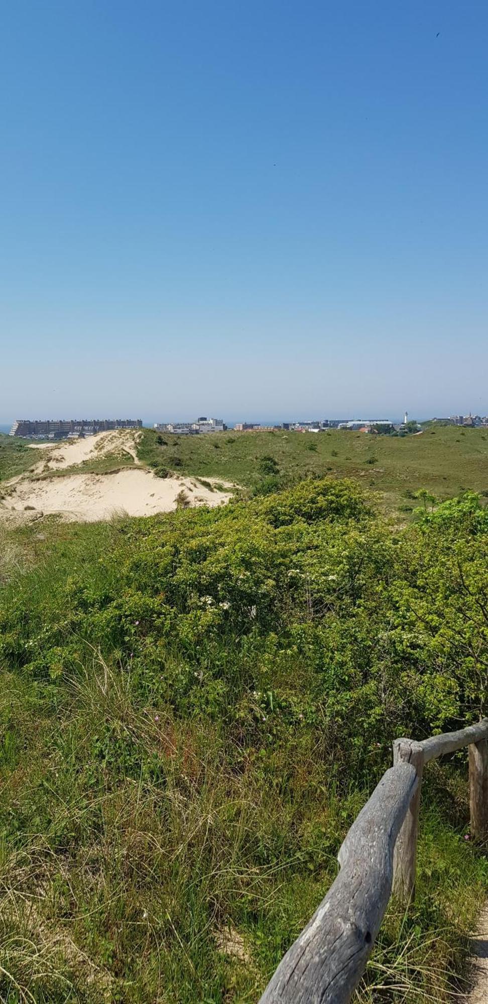 Strand Zuid Apartment Egmond aan Zee Ruang foto